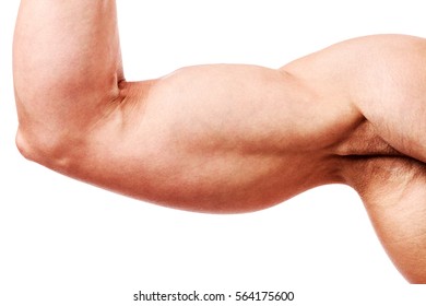 Big Biceps Of A Fitness Lady, Isolated On A White Background