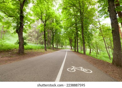 Big bike path in the forest part of the park