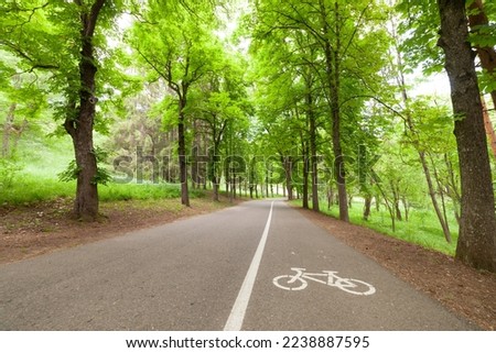 Big bike path in the forest part of the park