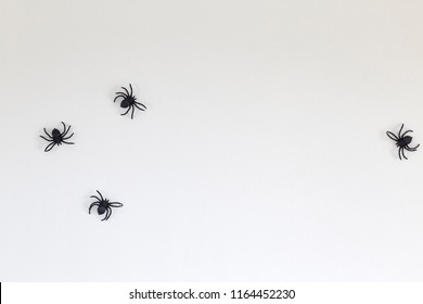 Big black toy spiders  on a wall white background for halloween, copy space, Flat lay - Powered by Shutterstock
