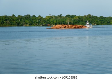 Big Boat Takes Logs Of Deforested Trees On The Amazonia River, Jungle In The Background