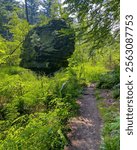 A big boulder is by a forest path in a beautiful summer portrait. The location is Rocky Arbor State Park in Wisconsin, USA.