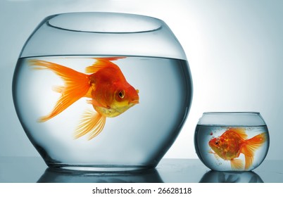 A Big Bowl And A Small One With Goldfish