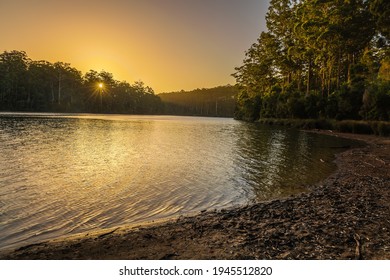 Big Brook Dam Is One Of The Attractions On The Karri Forest Explorer Drive Near Pemberton Western Australia