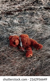 big brown teddy bear lying abandoned on the floor outside
