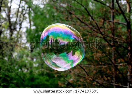 Big bubble reflecting the forest