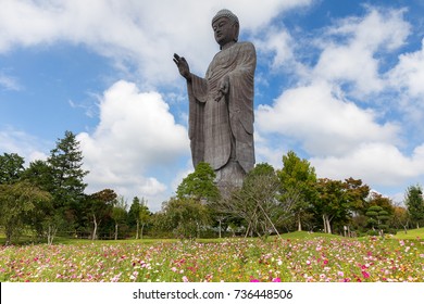 Big Buddha 