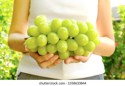 Big Bunch Of Fresh Green Muscat Grape In Woman Hands