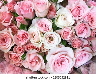 Big Bunch Of Multiple Pink Roses From Top