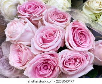 Big Bunch Of Multiple Pink ,white Roses From Top