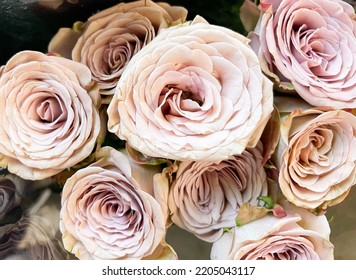 Big Bunch Of Multiple Roses Closeup