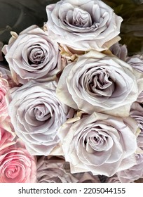 Big Bunch Of Multiple White ,pink Roses ,closeup