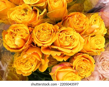 Big Bunch Of Multiple Yellow Roses From Top