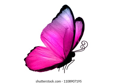 Big butterfly with big wings of pink color, isolated on white background - Shutterstock ID 1108907195