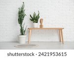 Big cactus with houseplant, home decor and table near white brick wall in room