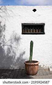 Big Cactus Plant In A Pot On A Street. White Wall In The Background. Wooden Little Window And A Shadow Of A Tree On The Wall. Blue Sky With Clouds. Teguise, Lanzarote, Canary Islands, Spain.