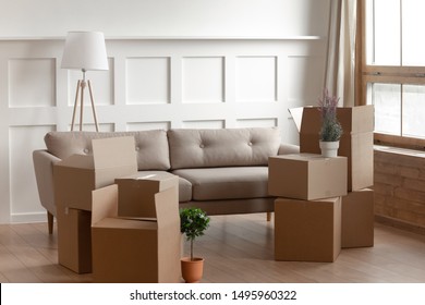 Big Cardboard Boxes, Domestic Flowers Potted Plants, Floor Lamp And Comfortable Couch Inside Of Modern Living Room, No People. Concept Of New First Home Or Relocation, Loan Mortgage, Delivery Service