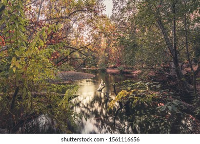 Big Chico Creek In Autumn, Chico California.