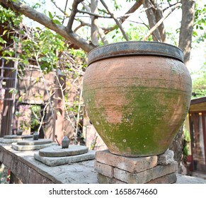 Big Clay Pots Or ิbig Earthen  Jar Filled With Water Were Placed On The Rocks And Covered With A Lid. Green Moss Stuck On Earthen Jar.