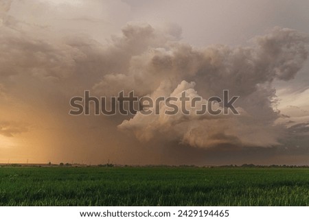 big cloud background field rice sunset time