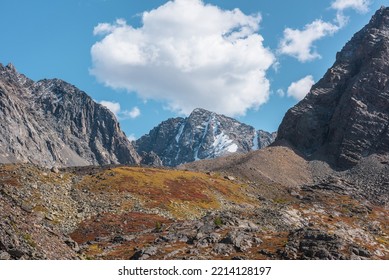 Big Cloud In Blue Sky Above Large Snow Mountain Top With Glacier In Autumn Sunny Day. Vivid Autumn Colors In High Mountains. Motley Landscape With Sharp Rocks And Snowy Mountain Peak In Bright Sun.