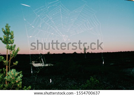 Similar – Image, Stock Photo fly even on ice and snow