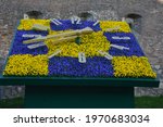 Big colorful floral clock with pansy in Lviv city street, Ukraine.Floral clock with blue and yellow flowers