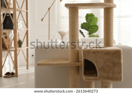 Big comfortable cat tree with scratching poles indoors