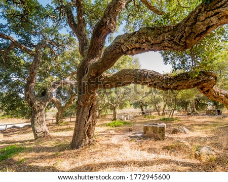 Similar – Image, Stock Photo Andalusian landscape