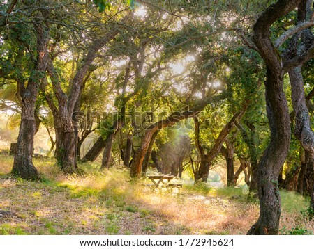 Similar – Image, Stock Photo Andalusian landscape