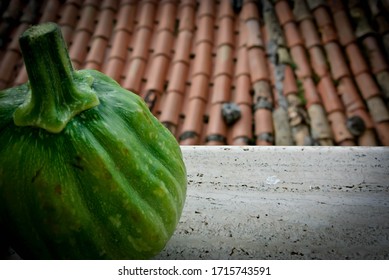 A Big Courgette On The Window Ledge