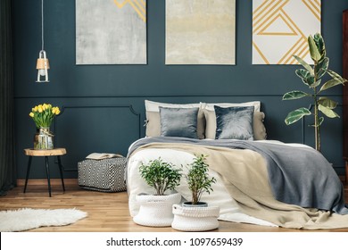 Imagenes Fotos De Stock Y Vectores Sobre Dark Blue Bedroom