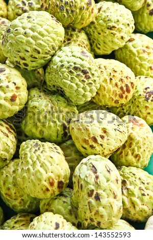 The big custardapple