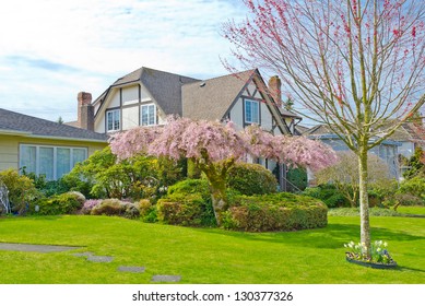 Big Custom Made Luxury House At Spring, Cherry Blossom Time In The Suburbs Of Vancouver, Canada.