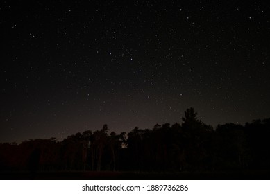 The Big Dipper Shines In The Night Sky Above The Tree Line. Many Stars Are Visible On This Clear Night. 