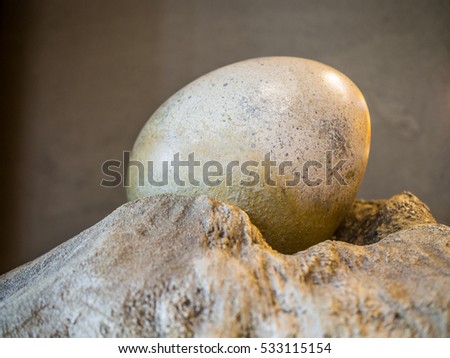 Big egg in nest stone