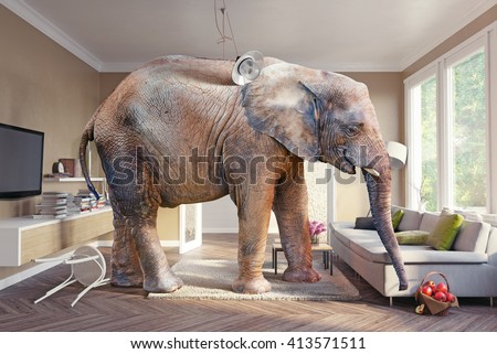 Big elephant and the basket of apples  in the living room. Photo combination and cg elements