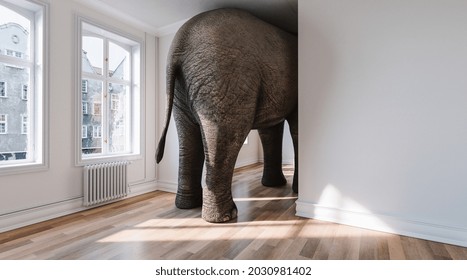 Big elephant from behind in apartment as a funny lack of space and pet concept image