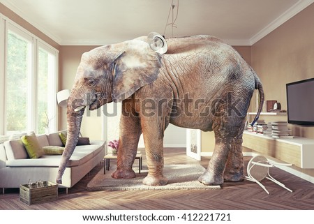 Big elephant and the case of beer  in the living room. Photo combination&cg elements included
