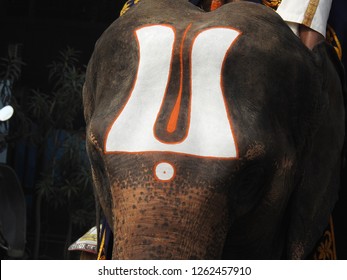 Big Elephant head. Lord Venkateswara Holy Sign (Symbol), in white and Red on Head of Animal