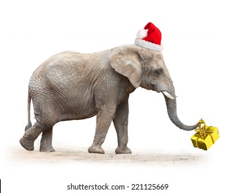 Big elephant with santa's cap delivering christmas gifts.