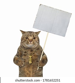 The Big Eyed Beige Cat With A Gold Fish Bone Pendant Is Holding A Blank Sign. White Background. Isolated.