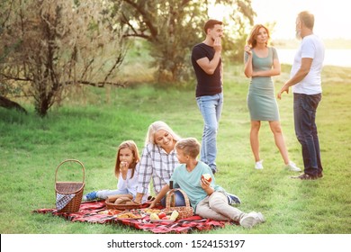 Big Family Having Picnic In Park