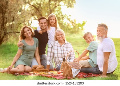 Big Family Having Picnic In Park