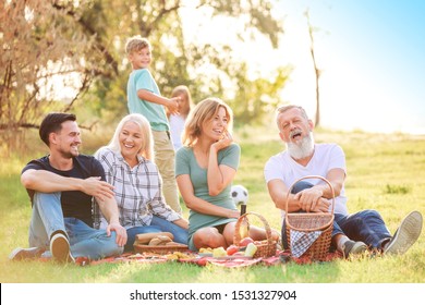 Big Family Having Picnic In Park