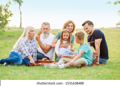 Big Family Having Picnic In Park