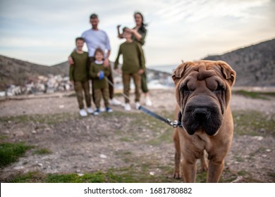 The Big Family Walking With Dog In The Park Together. The Portrait Of Pet Against The People. 