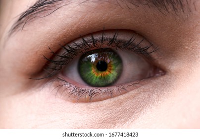 Большие Зеленые Глаза Фото