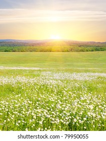 Big Field Of Flowers On Sunrise In Mountain Valley.The Beautiful Variety Of Flowers On The Green Meadow Grass Illuminated By The Sunlight.A Sunny Spring Day In The Mountains At Sunrise.