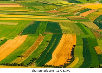 1,058,094 Green field texture Images, Stock Photos & Vectors | Shutterstock